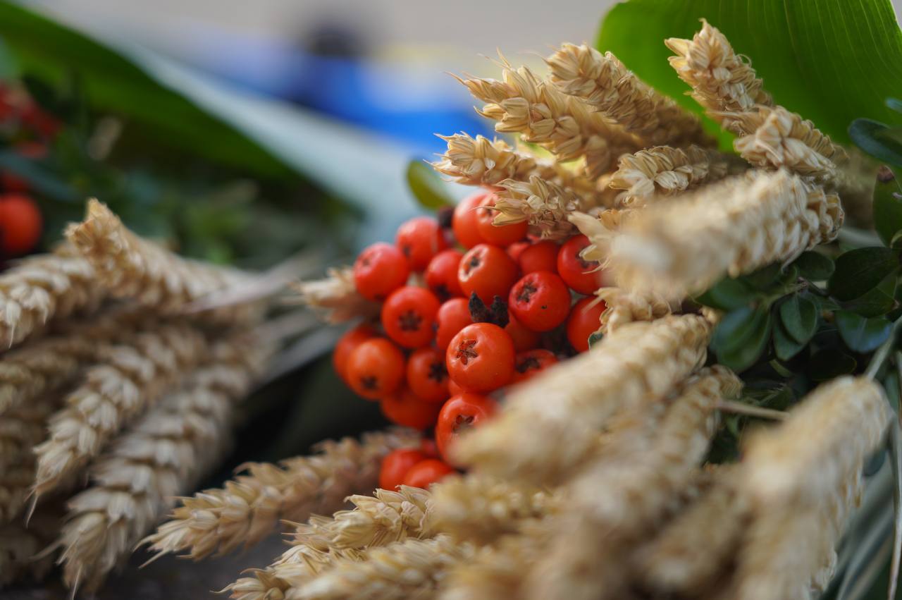 IMG_20251122_220007_607