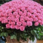 599945298 1445651177564085 2220436926515244329 n