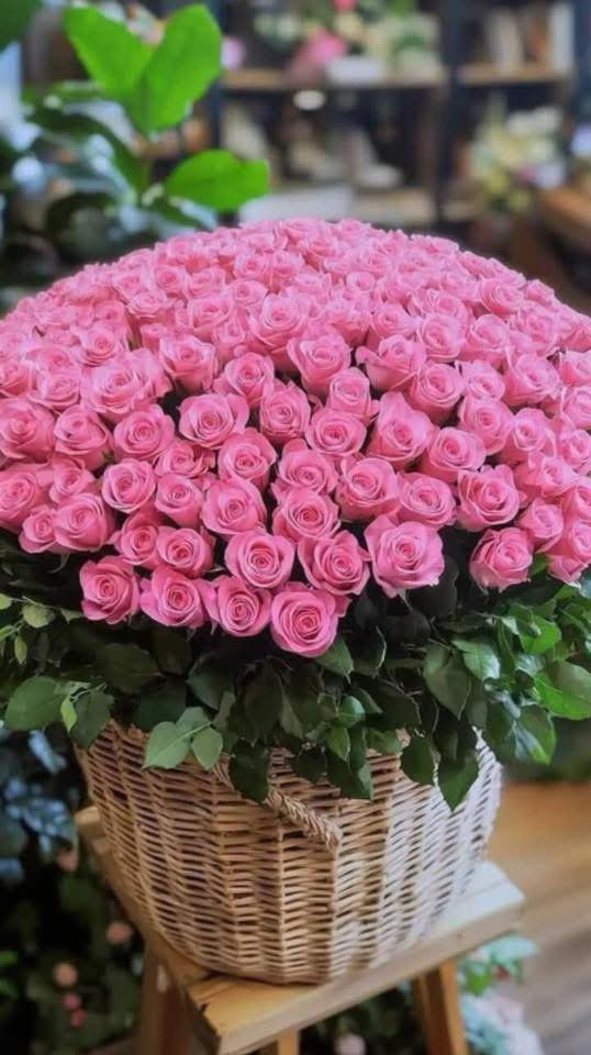 599945298 1445651177564085 2220436926515244329 n